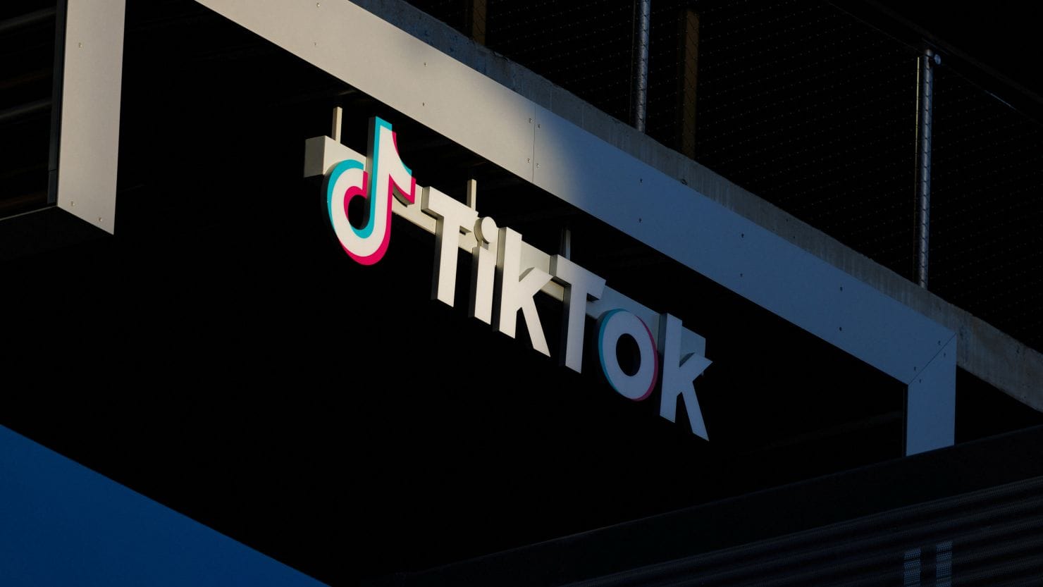Китайские власти собираются продать американский сегмент TikTok Илону Маску — Bloomberg